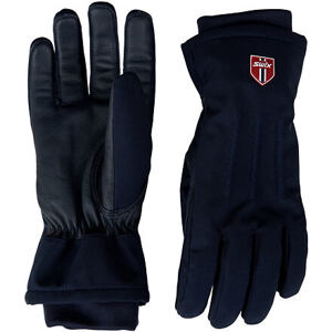 Unisex rukavice Swix Blizzard H0730 velikost - textil 9/L